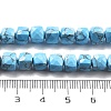 Natural Turquoise Beads Strands G-C179-B24-01-5