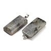 Natural Labradorite Pendants GG-CBAA0EE-01P-12-3