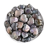 Natural Labradorite Palm Stones PW-WG69FB4-01-5