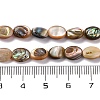 Natural Paua Shell Beads Strands BSHE-B007-06-4