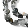 Natural Eagle Eye Stone Beads Strands X-G-P497-01C-52-4