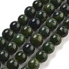 Natural Canadian Jade Beads Strands G-NH0029-01B-1