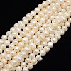 Natural Cultured Freshwater Pearl Beads Strands PEAR-L001-F-14-01-1