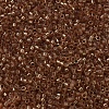 MIYUKI Delica Beads SEED-JP0008-DB0121-3