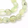 Natural Prehnite Beads Strands G-K230-20-3