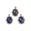 Natural Lapis Lazuli Oval Charms STAS-I325-144G-02-1