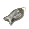 Natural Labradorite Pendants KK-D021-05H-G-2