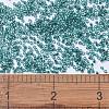 MIYUKI Delica Beads X-SEED-J020-DB1208-4