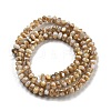 Natural Freshwater Shell Beads Strands X-BSHE-G038-05-3