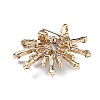 Alloy Rhinestone Brooch for Backpack Clothes JEWB-P046-05A-G-2