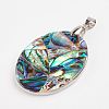 Abalone Shell/Paua Shell Pendants SSHEL-E557-09P-2