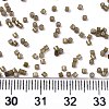 11/0 Grade A Glass Seed Beads X-SEED-S030-1148-4