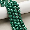 Natural Malachite Beads Strands G-A271-A01-10mm-1