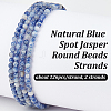 2 Strands Natural Blue Spot Jasper Round Beads Strands G-OC0005-71-4