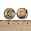 Natural Picture Jasper Cabochons G-H1596-FR-25mm-17-3