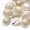 Cowrie Shell Beads SSHEL-T004-04-1