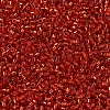 MIYUKI Delica Beads Small SEED-X0054-DBS0043-3