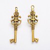 Alloy Pendants LS-PALLOY-A18872-AG-LF-2