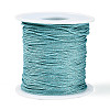 100M Segment Dyed Round Polyester Braided Cords OCOR-N009-03A-03-1