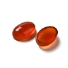 Natural Carnelian Cabochons G-F605E-22A-2