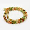 Natural Peacock Agate Beads Strands G-F417-06-8mm-2