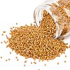 MIYUKI Delica Beads X-SEED-J020-DB2303-1
