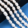 Natural Cultured Freshwater Pearl Beads Strands PEAR-N012-06R-6