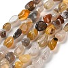 Natural Botswana Agate Beads Strands G-P497-01E-18-1