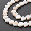 Natural Freshwater Shell Beads Strands SHEL-S276-70-4