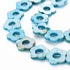 Freshwater Shell Beads Frames Strands SHEL-T009-14B-3