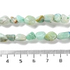 Natural Chrysocolla and Lapis Lazuli Beads Strands G-P497-01C-23-5