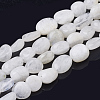 Natural Rainbow Moonstone Beads Strands G-Q961-27-1
