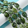 Natural Variscite Beads Strands G-D067-H02-A01-4