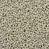 MIYUKI Round Rocailles Beads SEED-X0054-RR0181-4