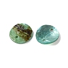 Spray Painted Natural Akoya Shell Connector Charms LS-BSHE-S304-17F-2