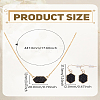 Hexagon Alloy Resin Pendant Necklaces and Dangle Earrings Sets for Women SJEW-LP0001-52A-2