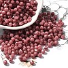 Picasso Baking Paint Glass Seed Beads X1-SEED-A032-02A-06-1