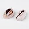 Natural Cowrie Shell Beads X-BSHE-S053-2