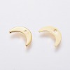 304 Stainless Steel Charms LS-STAS-L234-073G-2