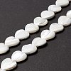 Natural Trochid Shell/Trochus Shell Beads SSHEL-O001-27D-4