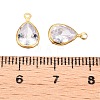 Cubic Zirconia Charms GLAA-T023-10G-3