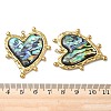 Natural Paua Shell Pendants STAS-G397-14G-02-3