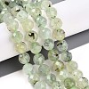 Natural Prehnite Beads Strands G-S345-10mm-28-2