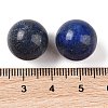 Natural Lapis Lazuli No Hole Sphere Beads G-K353-04C-10-3