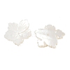 Natural White Shell Carved Beads SSHEL-B006-06-3
