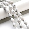 Natural Howlite Beads Strands G-B106-A26-02-2