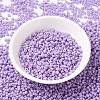 MIYUKI Round Rocailles Beads SEED-G008-RR4486-2