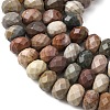 Natural Alashan Agate Beads Strands G-B179-A03-6x8mm-4