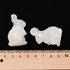 Natural Quartz Crystal Sculpture Display Decorations G-C244-01L-3