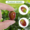 Foam Chinese Olive Display Decoration DJEW-GF0001-90A-6